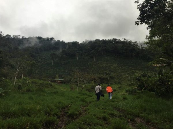 People walking in a field in Ecuador