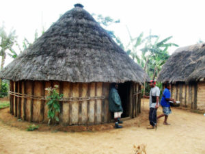 Grass hut home in Papua New Guinea