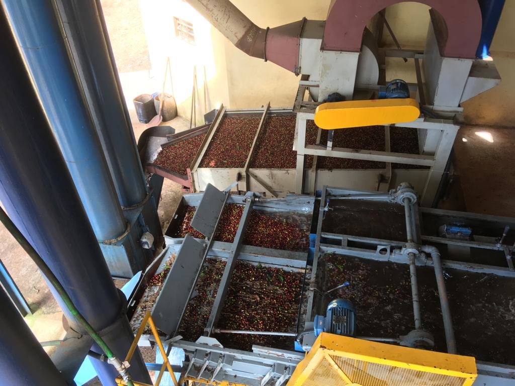 Equipment processing coffee in Brazil