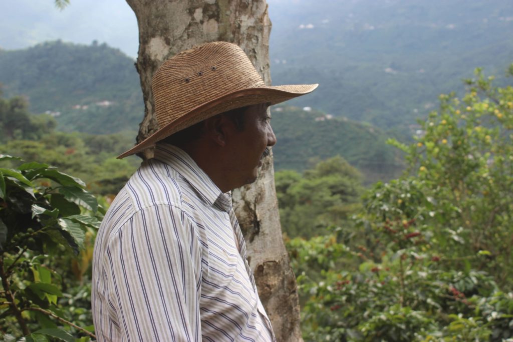 Man standing on coffee farm in El rancho Guatamala