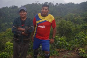 bolinda farmers standing in front of coffee saplings