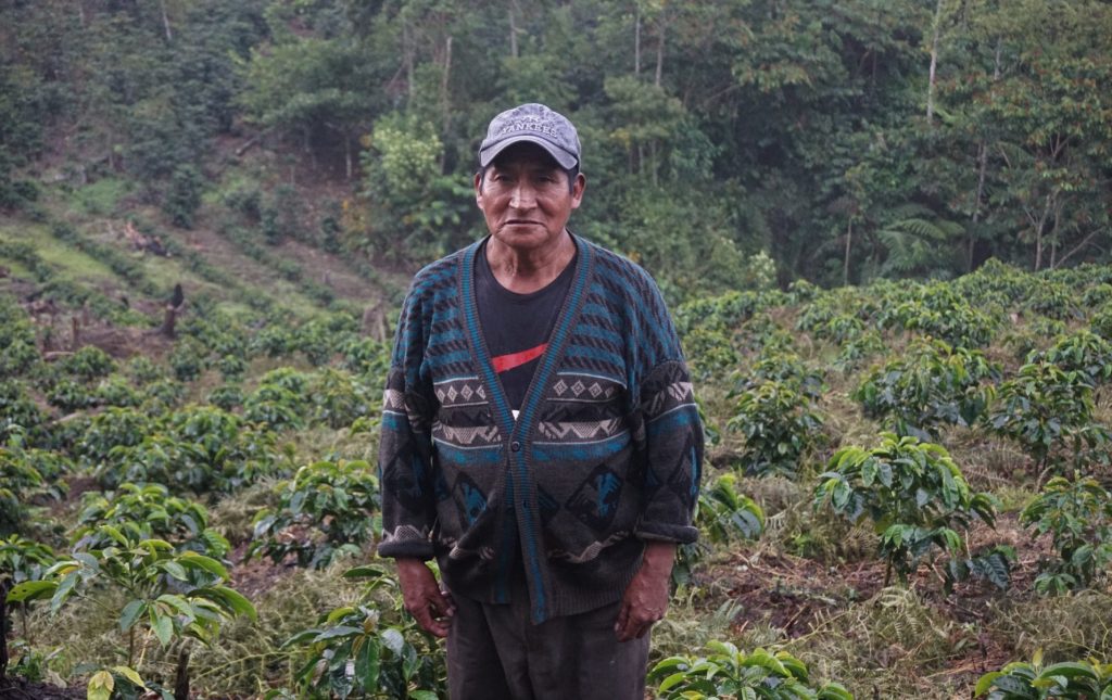 bolinda farmer standing in front of coffee field