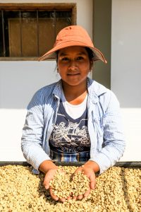 caranavi farmer holding coffee beans