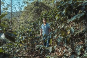 san juan farmer standing among coffee plants