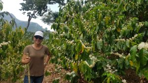 Woman with hiking stick standing next to flowering coffee plant in El Salvador