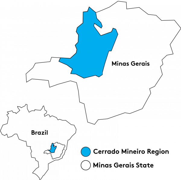 Map of Cerrado Mineiro Region within Brazil
