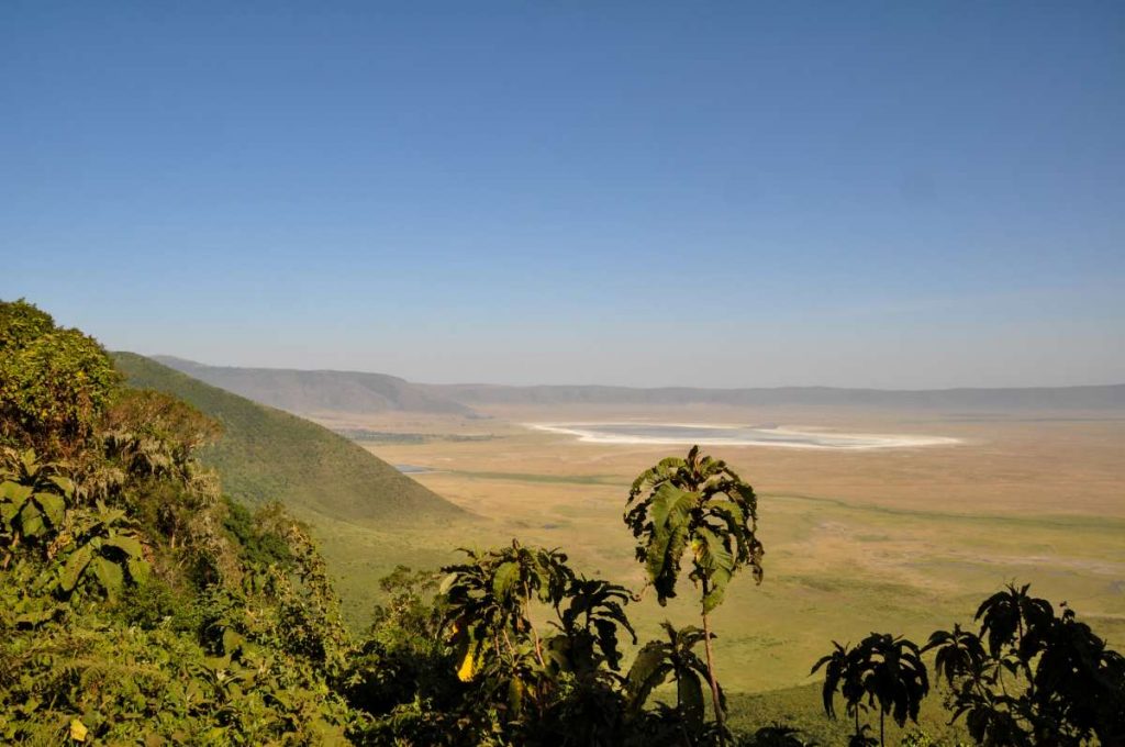 view from kilimanjaro