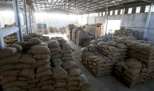 arsosala warehouse filled with burlap bags of coffee beans