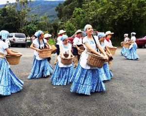 costa rica women in traditional dresses with baskets for dota coffee picking