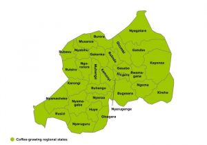 Map of coffee-growing regional states in Rwanda