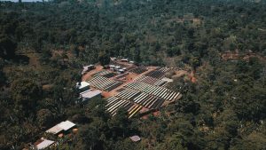 wuri drone shot of plot of land with many long tables for sorting coffee beans