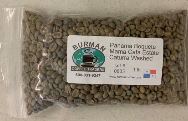 panama mama cata caturra raw coffee beans