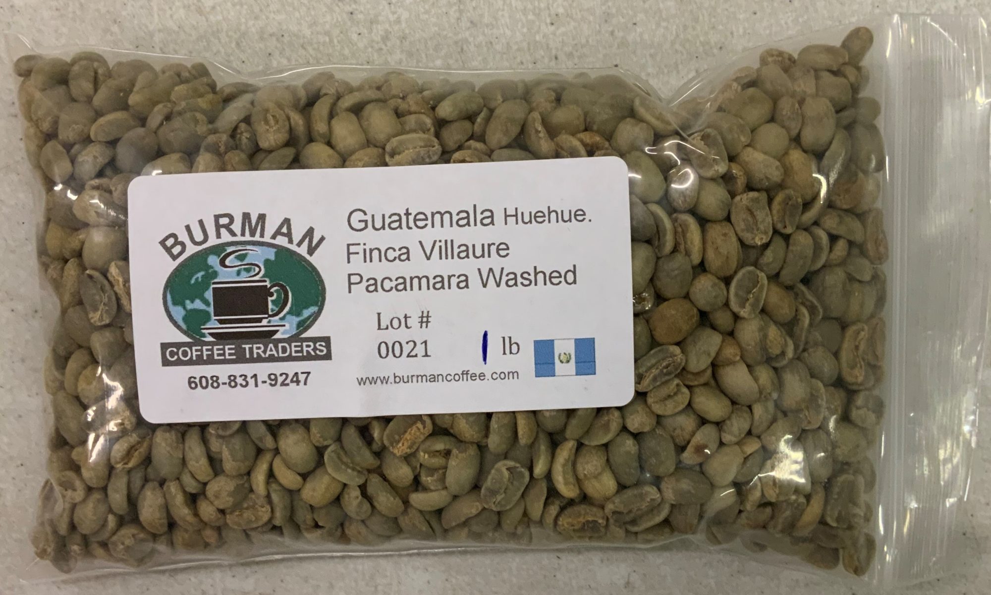 guatemala villaure pacamara green coffee beans