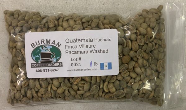 guatemala villaure pacamara green coffee beans