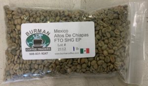 green coffee beans mexico altos de chiapas