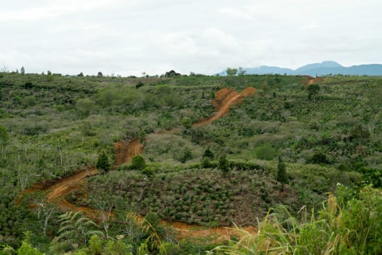 aceh, sumatra landscape