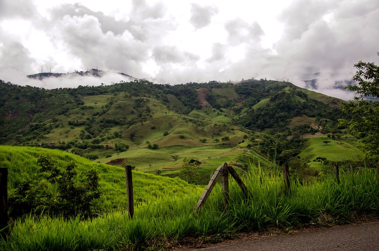 3 Reasons We Love Colombian Coffee Burman Coffee   Colombian Coffee Region Mountain 