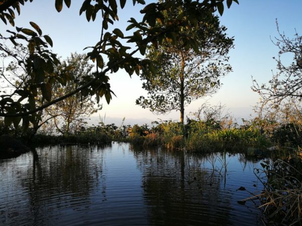doi pangkhon pond