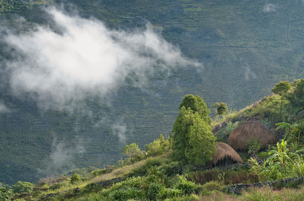 landscape shot of the Papua New Guinea highlands region