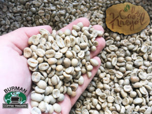 Cafe Kreyol Bolivia Apolo Green Coffee Beans Photo