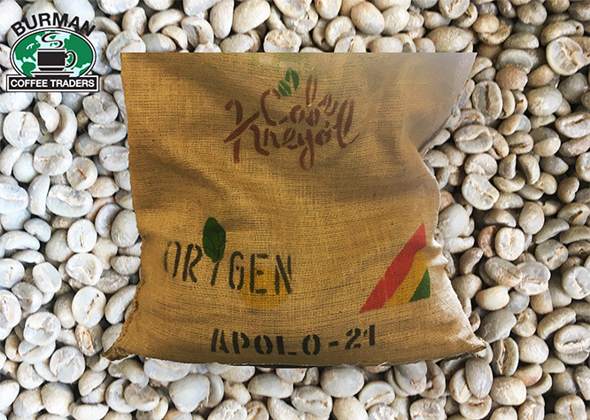 Cafe Kreyol Bolivia Apolo Green Coffee Burlap Bag Photo