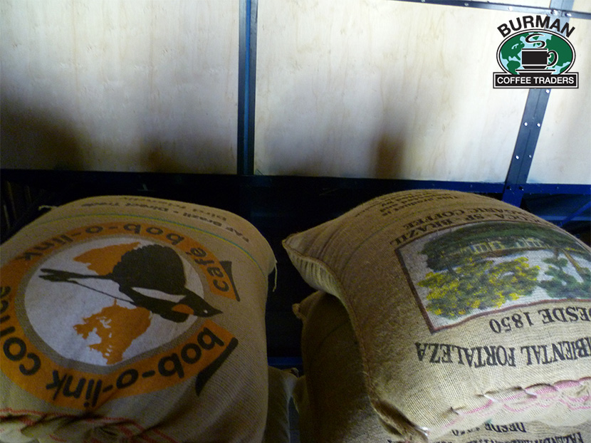Brazil FAF Green Coffee Burlap Bags Bob o Link