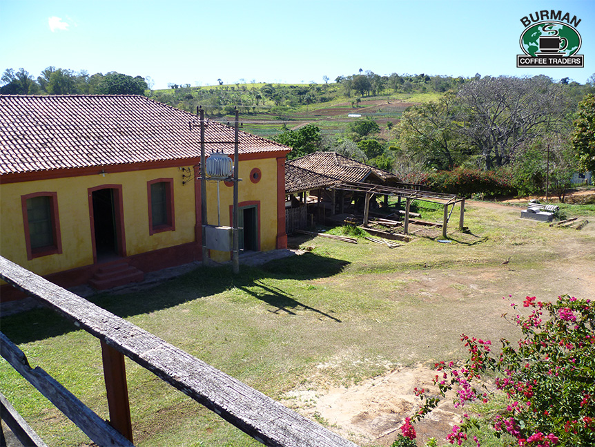 Brazil FAF Coffee Farm View