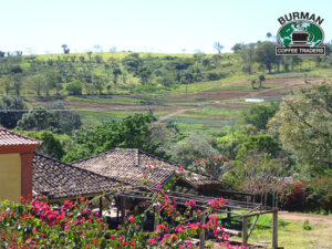 Coffee Farm Brazil FAF Field