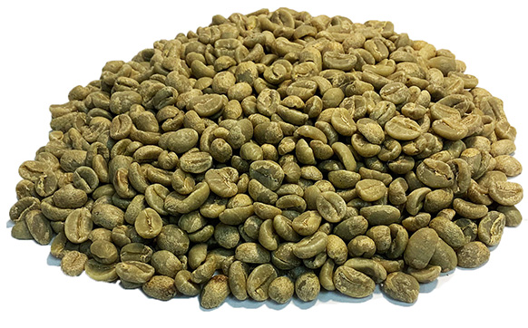 Green Coffee Burundi JNP Ngozi Bourbon - Bahire - Washed Processed