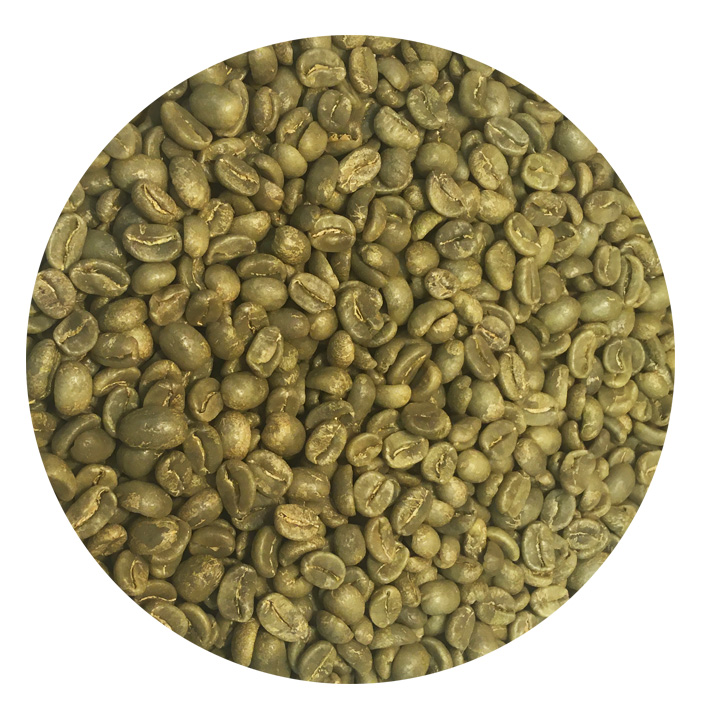 Costa Rica Amistad Green Coffee Beans