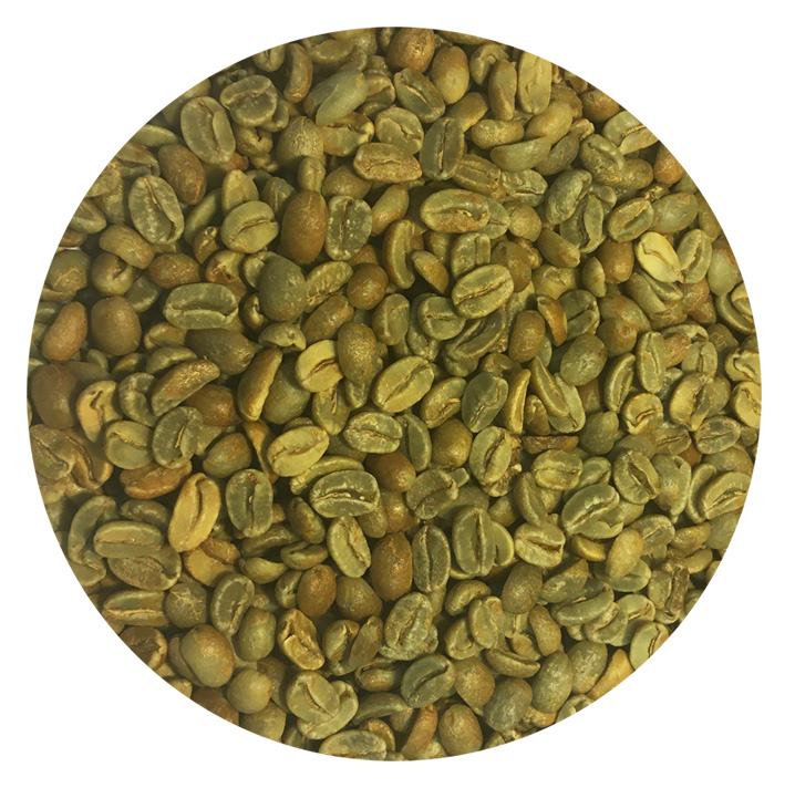 Dominican Org Ramirez Estate Natural Processed Green Coffee Beans