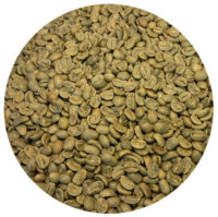 Dominican Washed Processed Green Coffee Beans