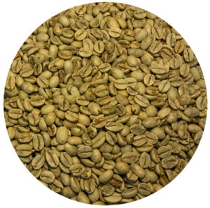 Indian Monsooned Malabar Green Coffee Beans