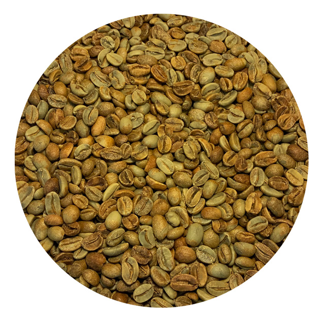 Indonesian Flores Tuang Coffee Anaerobic Natural Arabica Green Coffee Beans