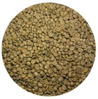 Nicaraguan RFA Selva Negra–La Hammonia Washed Processed–Icatu Reserve Green Coffee Beans