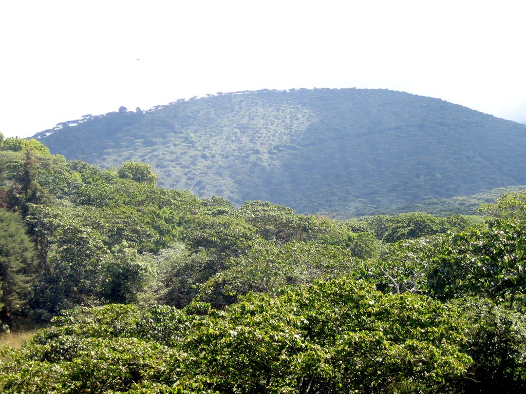 colombia landscape