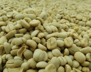 karuthi green coffee beans