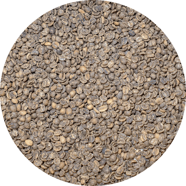 Decaffeinated Brazil Mogiana - Royal Select MWP