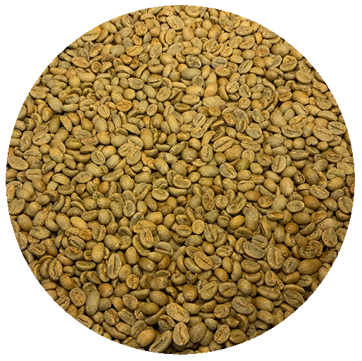 Ethiopian Yirgacheffe Worka Chelbesa – Natural Gr. 1 Green Coffee Beans