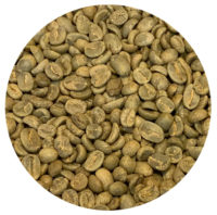 Guatemalan Premium Antigua – Finca Medina – Washed Processed Green Coffee