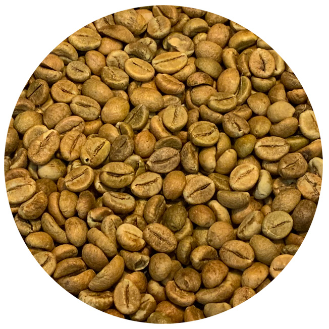 India Cherry Robusta Green Coffee Beans