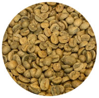 Nicaraguan Jinotega Honey Processed Green Coffee Beans