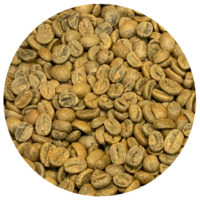 Nicaraguan Selva Negra Natural Yellow Catuai Green Coffee Beans