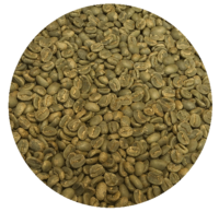 Panama Berlina Estate Typica Washed Processed Green Coffee Beans