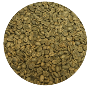 Panama Berlina Estate Typica Washed Processed Green Coffee Beans