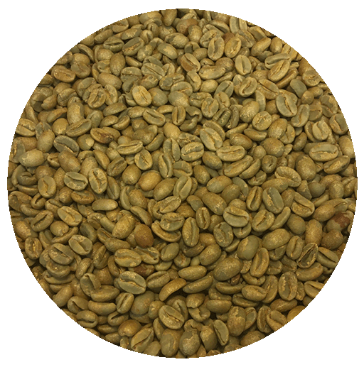 Panama Berlina Estate – Geisha Natural Green Coffee Beans