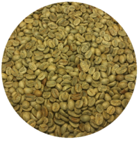 Panama Damarli Estate Typica Natural Processed Green Coffee Beans