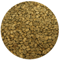 Panama Damarli Estate – Catuai Natural Processed Green Coffee Beans