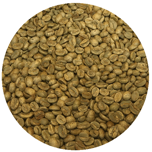 Panama Damarli Estate – Catuai Natural Processed Green Coffee Beans