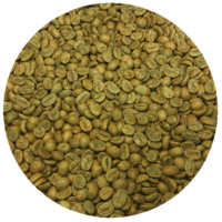 Panama Finca Stacy Noble Caturra “Redwood” Natural Green Coffee Beans